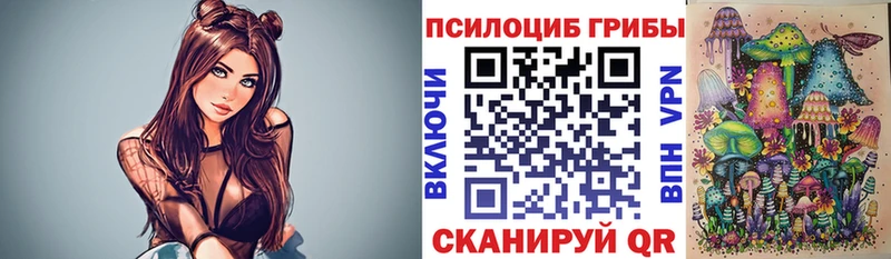 кракен ONION  Данков  Псилоцибиновые грибы GOLDEN TEACHER 