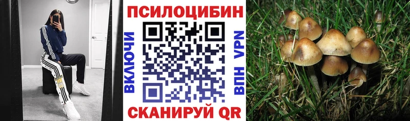 Псилоцибиновые грибы Psilocybe Данков